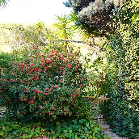 Villa Roba Capeu Saint-Cyr-sur-Mer