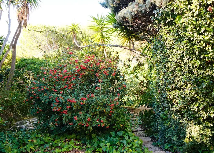 Villa Roba Capeu Saint-Cyr-sur-Mer